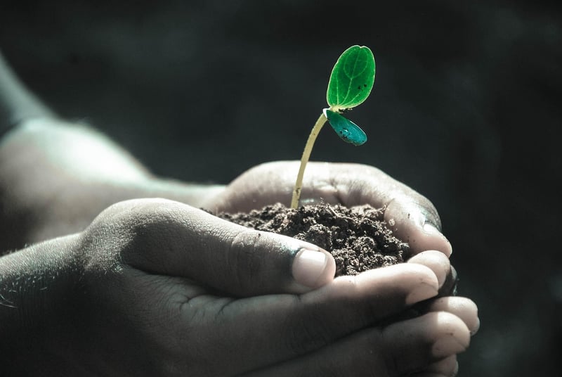 Quality Soil Mix